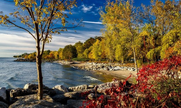ದೇಶ ಯಾವುದಾದರೇನು, ಒಳಿತನ್ನು ಪರಾಂಬರಿಸೋಣ