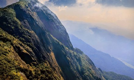 ಆಶಿಶ್‌ ಪ್ರಭು ತೆಗೆದ ಈ ದಿನದ ಫೋಟೋ
