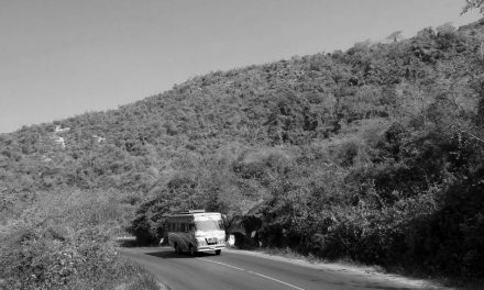 ಬಿ.ಎಚ್. ಶ್ರೀಧರ ಬರೆದ ಕಾವ್ಯ ಕುಸುಮ: ಎಸ್. ಟಿ. ಬಸ್