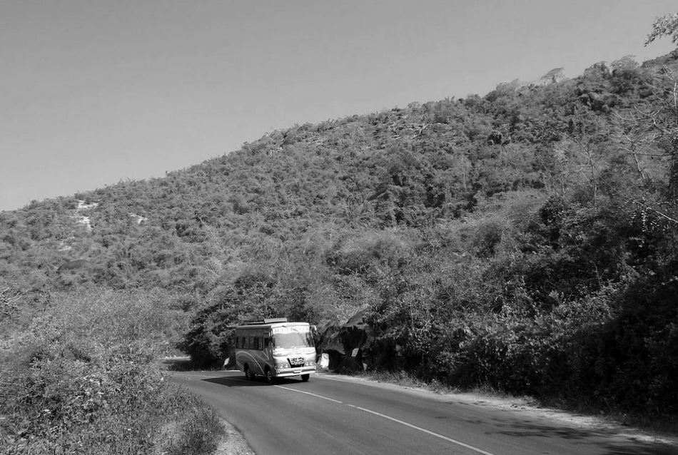 ಬಿ.ಎಚ್. ಶ್ರೀಧರ ಬರೆದ ಕಾವ್ಯ ಕುಸುಮ: ಎಸ್. ಟಿ. ಬಸ್