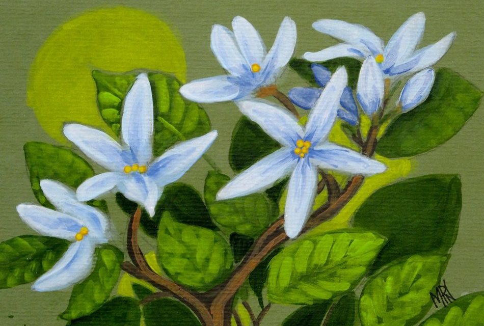 ಶಿವೈ ವೈಲೇಶ್ ಪಿ. ಎಸ್. ಕೊಡಗು ಬರೆದ ಈ ದಿನದ ಕವಿತೆ