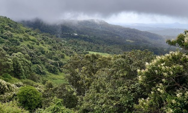 ಮತ್ತೊಂದು ಜನಪದವನ್ನು ಗೌರವಿಸುವ ವಿನಯಶೀಲತೆಗೆ ಕಾಯುತ್ತಾ..