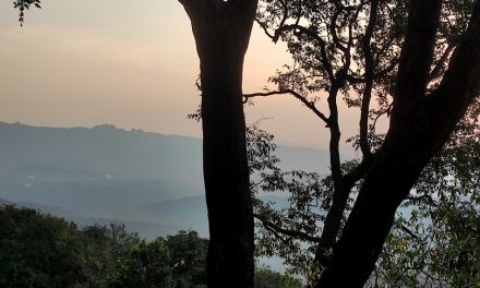 ಚಳಿಗಾಳಿ, ಸಿಹಿಗಾಳಿಯ ಕಂಪೆಲ್ಲ ಸೊಗಸಾಗಿ..