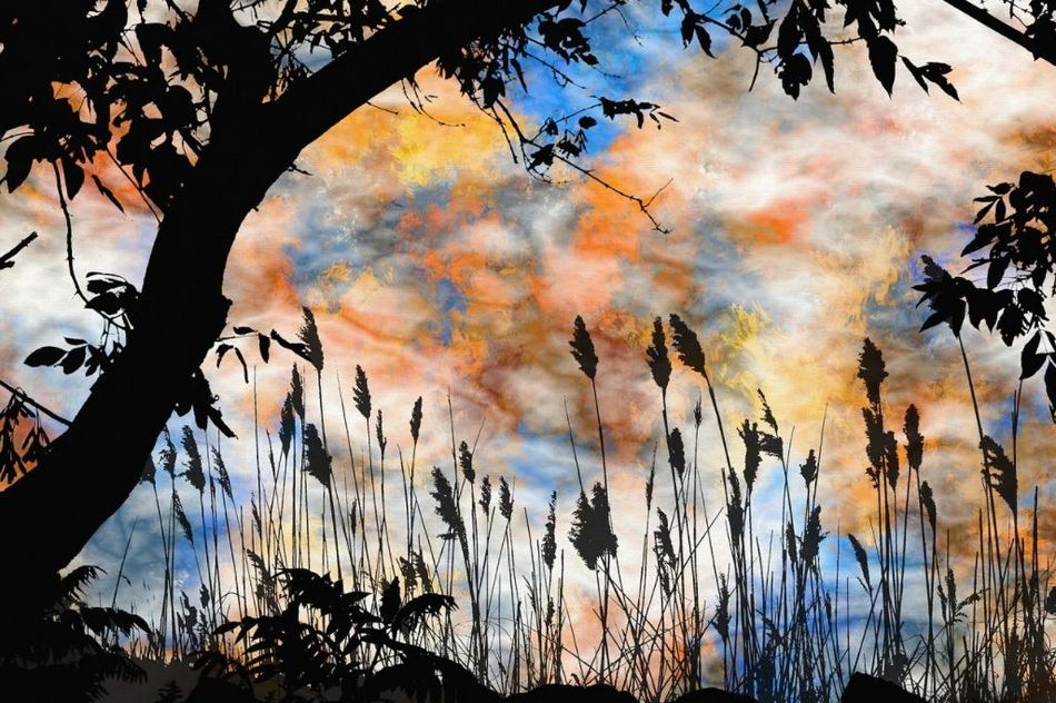 ಡಾ. ನಾ. ಮೊಗಸಾಲೆ ಬರೆದ ಕವಿತೆ