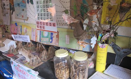 ಭಾಷಾ ಕಲಿಕೆಯ ಕುತೂಹಲಕರ ಆಯಾಮಗಳು