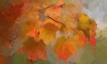 ಮಂಡಲಗಿರಿ ಪ್ರಸನ್ನ ಬರೆದ ಗಜಲ್