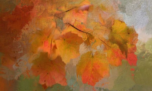 ಮಂಡಲಗಿರಿ ಪ್ರಸನ್ನ ಬರೆದ ಗಜಲ್