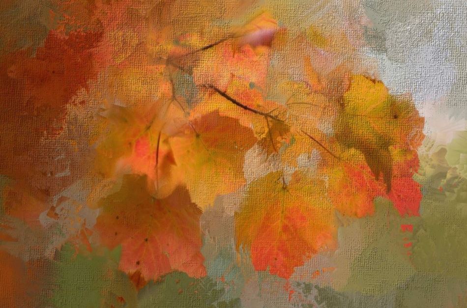 ಮಂಡಲಗಿರಿ ಪ್ರಸನ್ನ ಬರೆದ ಗಜಲ್