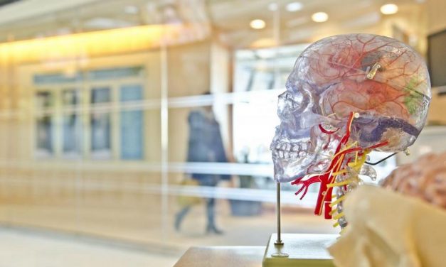 ನನ್ನನ್ನು ಹುಡುಕಿಕೊಳ್ಳುವ ದಾರಿಯಲ್ಲಿ ಸಿಕ್ಕ ಹೊಳಹುಗಳು