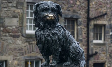 ಬಾಬ್ಬಿ ಎಂಬ ಪ್ರೇಮದ ಕುರುಹನ್ನು ಹುಡುಕಿಕೊಂಡು…