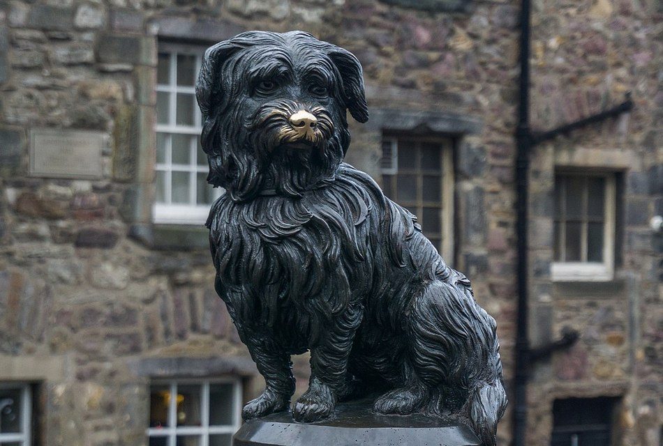 ಬಾಬ್ಬಿ ಎಂಬ ಪ್ರೇಮದ ಕುರುಹನ್ನು ಹುಡುಕಿಕೊಂಡು…