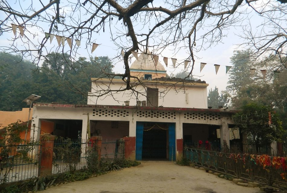 ಶ್ರೀಕೃಷ್ಣ ದೇವರು ತಂದ ಪಾರಿಜಾತದ ಗಿಡವಿದು