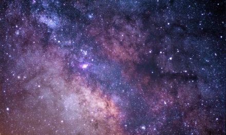 ಕಾವ್ಯಮಾಲೆಯ ಕಾಣದ ಕುಸುಮ: ರೋಹಿಣಿ