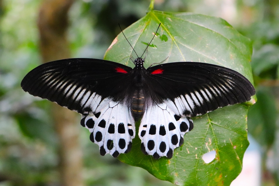 ಪೂರ್ಣೇಶ್ ಮತ್ತಾವರ ತೆಗೆದ ಈ ದಿನದ ಫೋಟೋ
