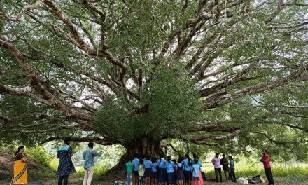 ಸಂಸೆ ಗುಡ್ಡದ ಮೇಲೆ ಮಕ್ಕಳು ಹೇಳಿದ ಪಾಠ