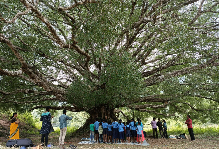 ಸಂಸೆ ಗುಡ್ಡದ ಮೇಲೆ ಮಕ್ಕಳು ಹೇಳಿದ ಪಾಠ