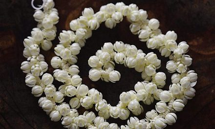 ಮುಡಿಯೇರಿ ಮೆರೆದ ಮೇಲೂ ಬಾಡದ ಹೂಗಳು