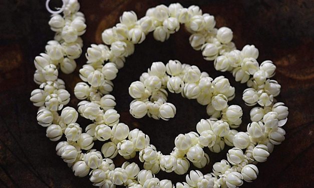 ಮುಡಿಯೇರಿ ಮೆರೆದ ಮೇಲೂ ಬಾಡದ ಹೂಗಳು