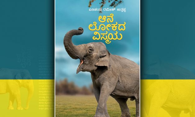 ಆನೆಗಳ ಮನೋಲೋಕವನ್ನು ಸೆರೆಹಿಡಿಯುವ ವಿಸ್ಮಯಗಳು