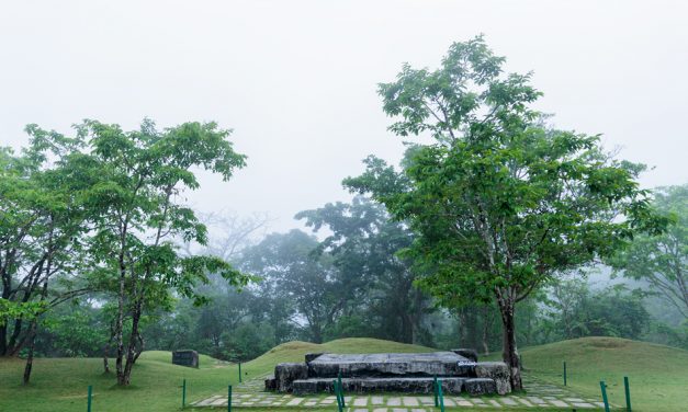 ತನ್ನ ಪಾಡಿಗೆ ಬೆಳಗನ್ನು ಆನಂದಿಸುತ್ತಿದ್ದ ಕವಿಮನೆ
