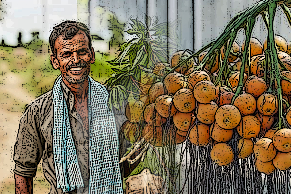 ಅಡಿಕೆ ಹೊತ್ತ ತಲೆಯ ಮೇಲೆ ಆನೆ ಕುಳಿತಾಗ