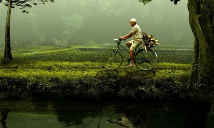 ಸರಳ ಸತ್ಯಗಳ ಮರೆತು ಹಸಿರ ಹರಿಯುವ ನಾವು..