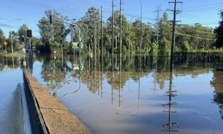 ಒಳ್ಳೆಯ ಮತ್ತು ಕೆಟ್ಟ ಸಮಾಚಾರಗಳ ಬೇವುಬೆಲ್ಲ