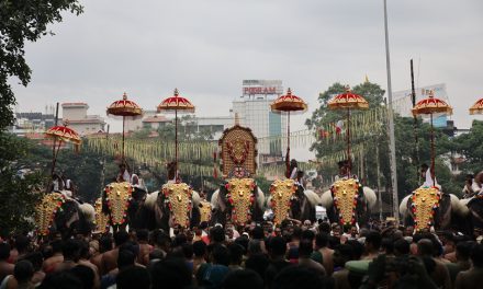 ಪೂರಂ ಎಂಬ ಸಂಭ್ರಮವೂ ಆನೆಗಳ ಗಾಂಭೀರ್ಯವೂ