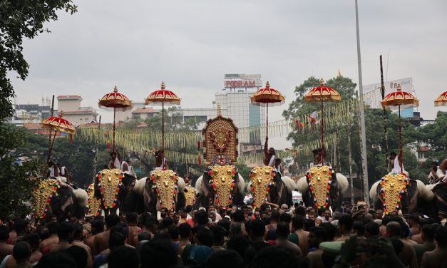 ಪೂರಂ ಎಂಬ ಸಂಭ್ರಮವೂ ಆನೆಗಳ ಗಾಂಭೀರ್ಯವೂ