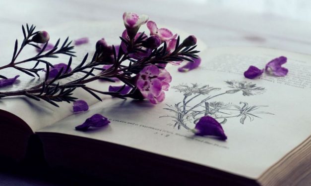 ಬುಕ್‌ ಬ್ರಹ್ಮ ಸ್ವಾತಂತ್ರ್ಯೋತ್ಸವ ಕಥಾ ಸ್ಪರ್ಧೆ: ಪ್ರಥಮ ಬಹುಮಾನ ರೂ.50,000