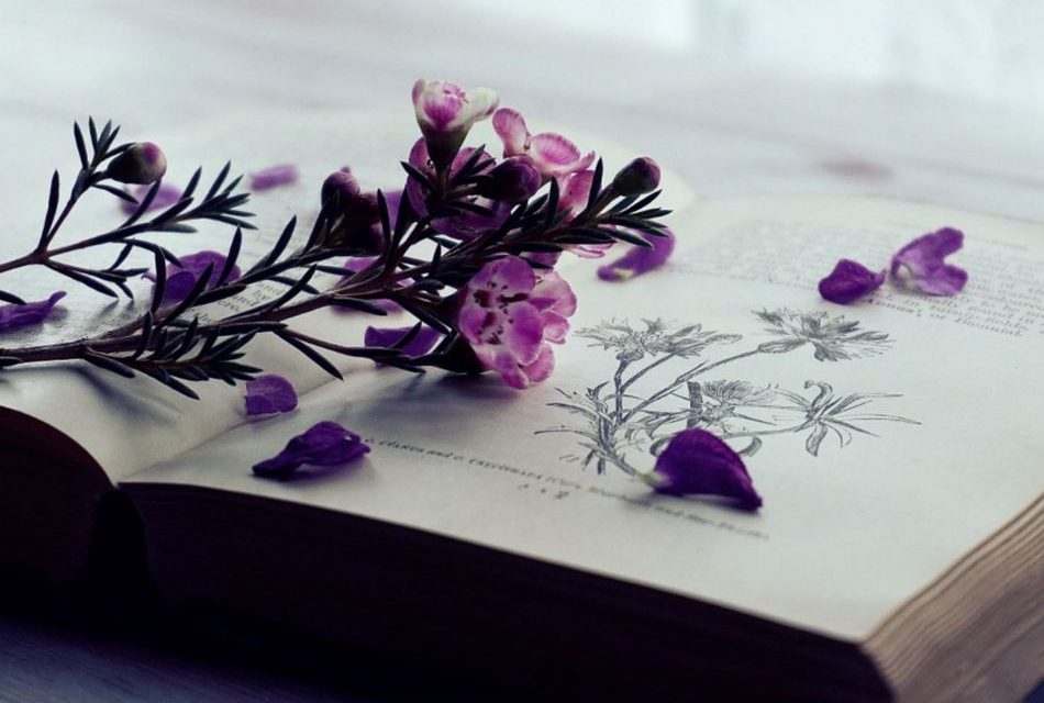 ಬುಕ್‌ ಬ್ರಹ್ಮ ಸ್ವಾತಂತ್ರ್ಯೋತ್ಸವ ಕಥಾ ಸ್ಪರ್ಧೆ: ಪ್ರಥಮ ಬಹುಮಾನ ರೂ.50,000