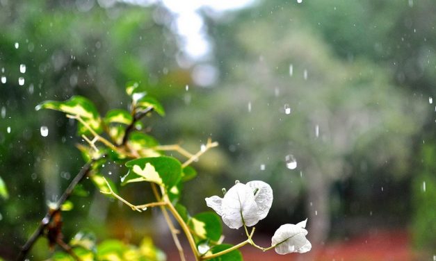 ಹಾಗಾದರೆ ನಾನು ನಿಮಗೆ ಬೇಡವಾ.. ಮಳೆಯದ್ದೊಂದು ಪ್ರಶ್ನೆ