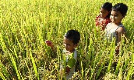 ಪುನೀತ್ ಕುಮಾರ್ ವಿ. ಬರೆದ ಈ ದಿನದ ಕವಿತೆ