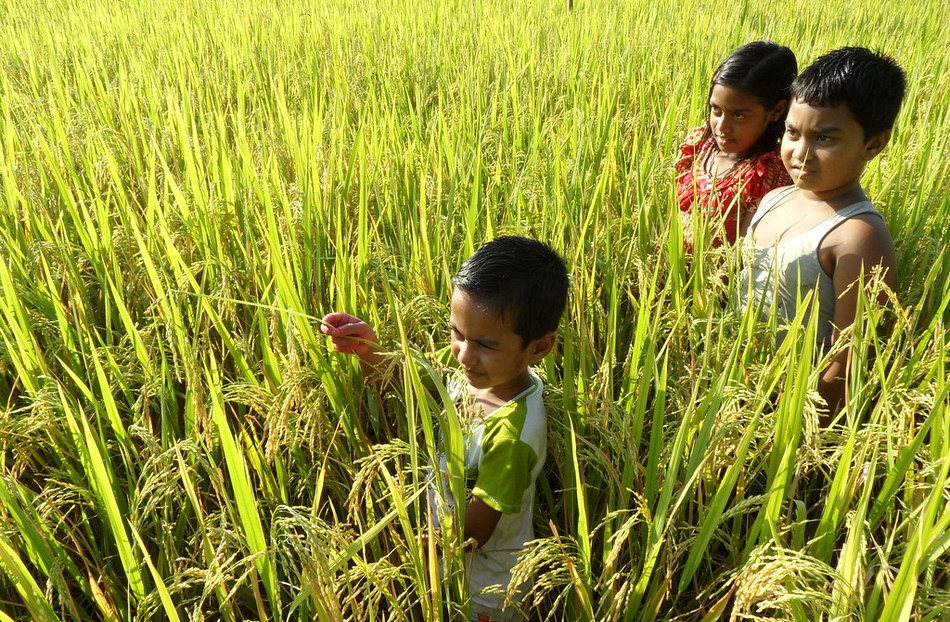 ಪುನೀತ್ ಕುಮಾರ್ ವಿ. ಬರೆದ ಈ ದಿನದ ಕವಿತೆ