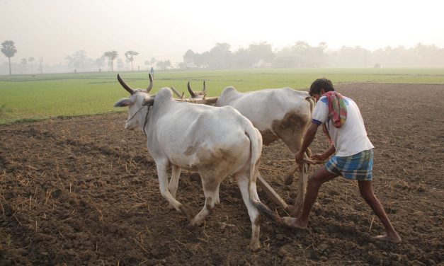 ಸುರಿವ ಮಳೆಯಲ್ಲಿ ಅಪ್ಪ ಮತ್ತು ನಾನು