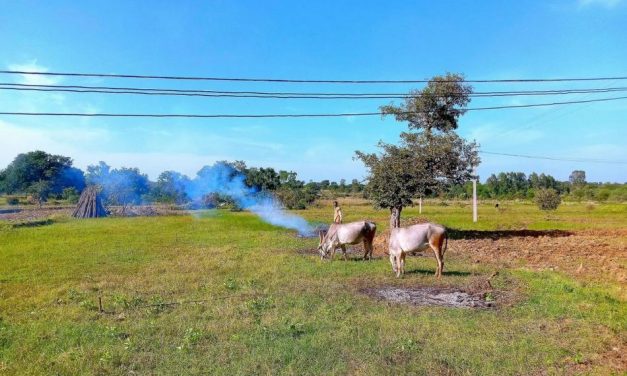 ಗುರುಪ್ರಸಾದ ಕುರ್ತಕೋಟಿ ಹೊಸ ಅಂಕಣ ‘ಗ್ರಾಮಡ್ರಾಮಾಯಣ’