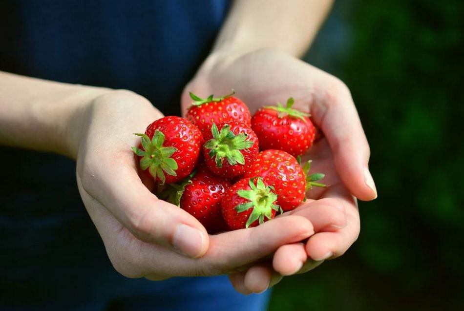 ದೂರದೂರಿನ ನೆಂಟತನವೂ, ನೆರೆಹೊರೆಯವರ ಸ್ನೇಹಹಸ್ತವೂ