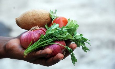 ನಾವು ತಿನ್ನುವ ಆಹಾರದ ಮೂಲ ಯಾವುದು?
