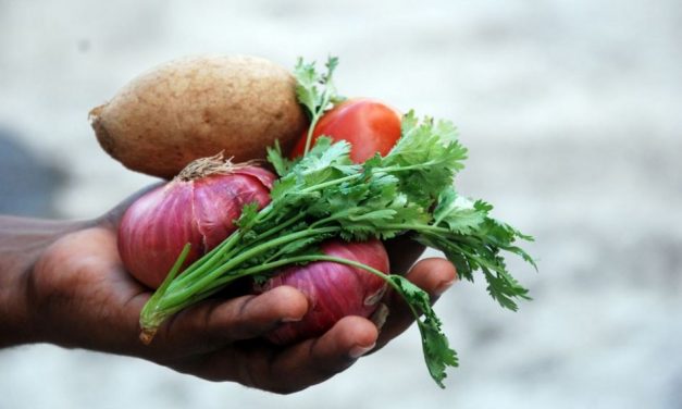 ನಾವು ತಿನ್ನುವ ಆಹಾರದ ಮೂಲ ಯಾವುದು?