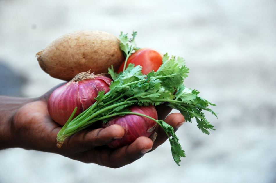 ನಾವು ತಿನ್ನುವ ಆಹಾರದ ಮೂಲ ಯಾವುದು?
