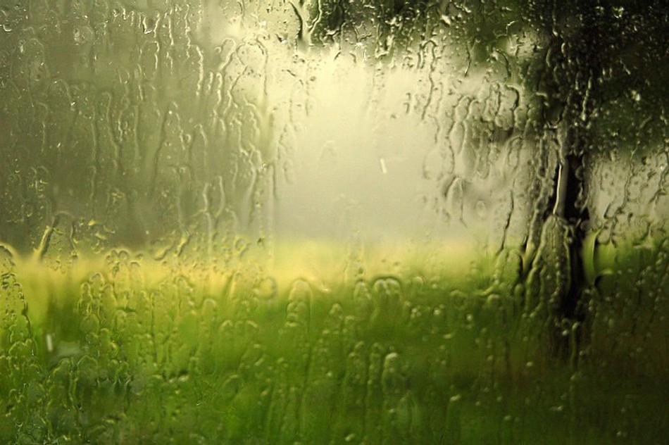 ಅಭಿಷೇಕ ಬಳೆ ಮಸರಕಲ್ ಬರೆದ ಈ ದಿನದ ಕವಿತೆ