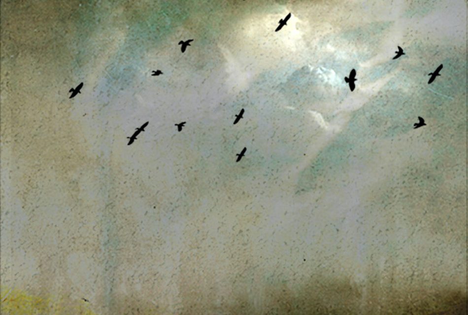 ನೂರುಲ್ಲಾ ತ್ಯಾಮಗೊಂಡ್ಲು ಬರೆದ ಈ ದಿನದ ಕವಿತೆ