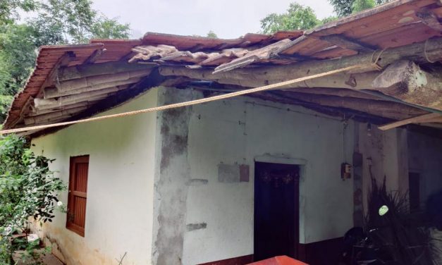 ಹಾವು ಬಾವಲಿಗಳ ಸ್ನೇಹಕ್ಕೆ ಕಾಯುತ್ತ