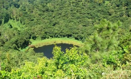 ಪ್ರಕೃತಿಯ ರಮ್ಯವಾದ ಮಾಯಾತಾಣ ಮಾರೀಷಿಯಸ್