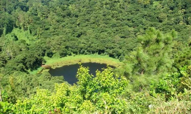 ಪ್ರಕೃತಿಯ ರಮ್ಯವಾದ ಮಾಯಾತಾಣ ಮಾರೀಷಿಯಸ್