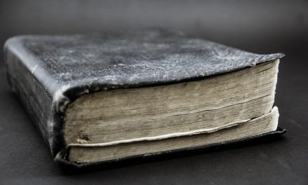 ಕೆ.ವಿ.‌ತಿರುಮಲೇಶ್ ಅವರ ಹೊಸ ಸರಣಿ ಆರಂಭ