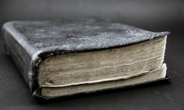 ಕೆ.ವಿ.‌ತಿರುಮಲೇಶ್ ಅವರ ಹೊಸ ಸರಣಿ ಆರಂಭ