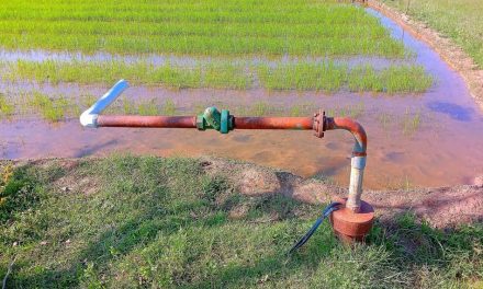 ಬೋರ್‌ವೆಲ್ ಮತ್ತು ʻನೀರʼಕ್ಷರಿಗಳು