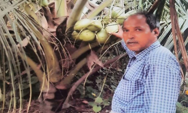 ಅಂತೂ ಇಂತೂ ಗ್ರೆಗರಿಯವರಿಗೆ ತೀರ್ಪು ಸಿಕ್ಕಿತು