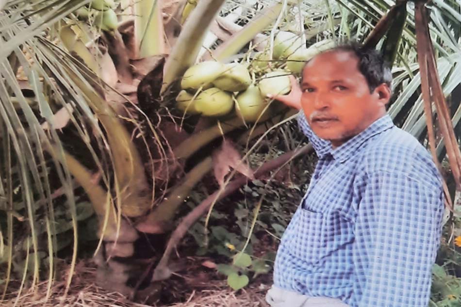 ಅಂತೂ ಇಂತೂ ಗ್ರೆಗರಿಯವರಿಗೆ ತೀರ್ಪು ಸಿಕ್ಕಿತು